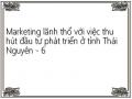 Marketing lãnh thổ với việc thu hút đầu tư phát triển ở tỉnh Thái Nguyên - 6