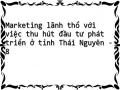 Marketing lãnh thổ với việc thu hút đầu tư phát triển ở tỉnh Thái Nguyên - 8