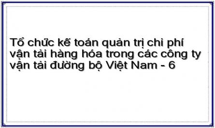 Tổ chức kế toán quản trị chi phí vận tải hàng hóa trong các công ty vận tải đường bộ Việt Nam - 6