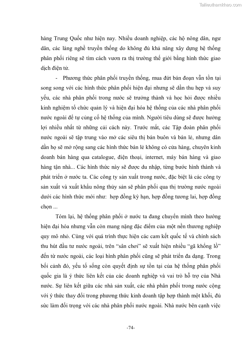 Khóa luận tốt nghiệp Thu hút vốn đầu tư trực tiếp nước ngoài vào ngành dịch vụ phân phối bán lẻ theo lộ trình cam kết WTO - 11 Trang 81