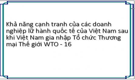 Cơ Hội Của Việc Việt Nam Gia Nhập Wto Đối Với Khả Năng Cạnh Tranh Của Các Doanh Nghiệp Lữ