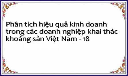 Quy Trình Tổ Chức Phân Tích Hiệu Quả Kinh Doanh Trong Các Doanh Nghiệp Khai Thác Khoáng Sản Việt Nam