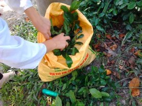 Hình 3 Thí nghiệm tiêu hóa thức ăn 15