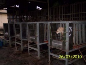 Hình 3 Thí nghiệm tiêu hóa thức ăn 18