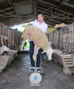 Hình 2 Xác định các chỉ tiêu sinh trưởng và sinh sản Hình 3 Thí nghiệm tiêu 7
