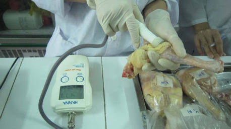 148 Hình 11 Đo pH thịt 11