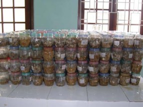 Hình 7 Thu mẫu chất thải Hình 8 Rã đông mẫu chất thải Hình 9 Đồng hóa 8