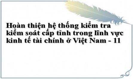 Hoàn thiện hệ thống kiểm tra kiểm soát cấp tỉnh trong lĩnh vực kinh tế tài chính ở Việt Nam - 11
