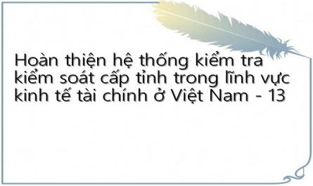 Hoàn thiện hệ thống kiểm tra kiểm soát cấp tỉnh trong lĩnh vực kinh tế tài chính ở Việt Nam - 13