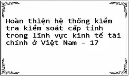 Hoàn thiện hệ thống kiểm tra kiểm soát cấp tỉnh trong lĩnh vực kinh tế tài chính ở Việt Nam - 17