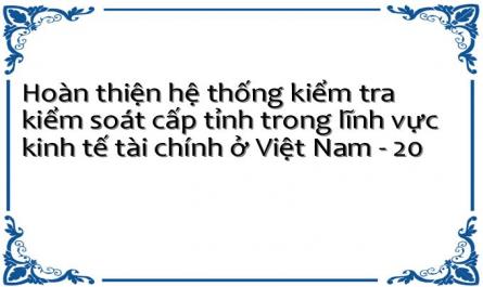 Hoàn thiện hệ thống kiểm tra kiểm soát cấp tỉnh trong lĩnh vực kinh tế tài chính ở Việt Nam - 20