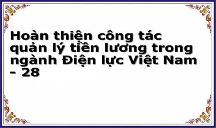 Hoàn thiện công tác quản lý tiền lương trong ngành Điện lực Việt Nam - 28