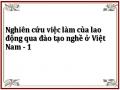 Nghiên cứu việc làm của lao động qua đào tạo nghề ở Việt Nam - 1