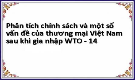Phân tích chính sách và một số vấn đề của thương mại Việt Nam sau khi gia nhập WTO - 14