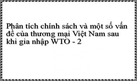 Phân tích chính sách và một số vấn đề của thương mại Việt Nam sau khi gia nhập WTO - 2
