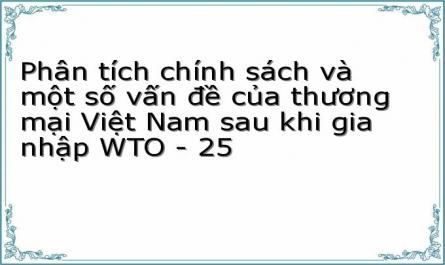Phân tích chính sách và một số vấn đề của thương mại Việt Nam sau khi gia nhập WTO - 25
