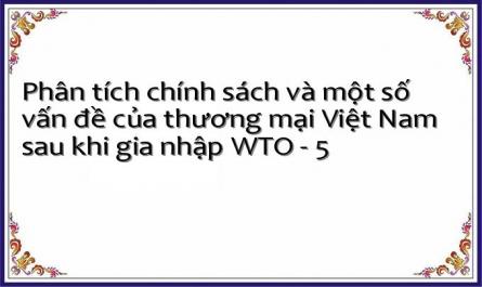 Phân tích chính sách và một số vấn đề của thương mại Việt Nam sau khi gia nhập WTO - 5