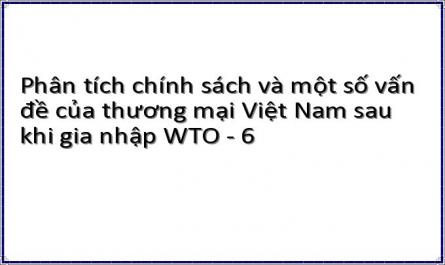 Phân tích chính sách và một số vấn đề của thương mại Việt Nam sau khi gia nhập WTO - 6