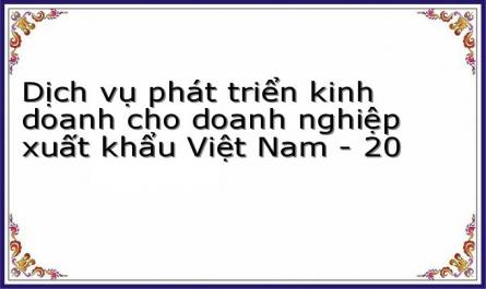 Dịch vụ phát triển kinh doanh cho doanh nghiệp xuất khẩu Việt Nam - 20