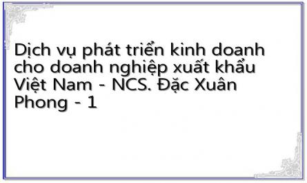 Dịch vụ phát triển kinh doanh cho doanh nghiệp xuất khẩu Việt Nam - NCS. Đặc Xuân Phong - 1