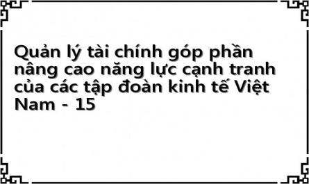 Quản lý tài chính góp phần nâng cao năng lực cạnh tranh của các tập đoàn kinh tế Việt Nam - 15