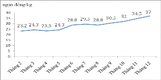 Biểu đồ 3 16 Biến động giá cà phê trên thị trường tỉnh Đắk Lắk năm 2010 1