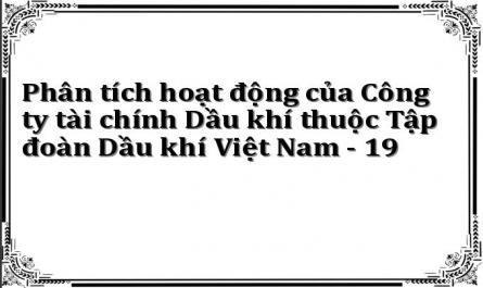 Phân tích hoạt động của Công ty tài chính Dầu khí thuộc Tập đoàn Dầu khí Việt Nam - 19