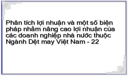 Chỉ Tiêu Lợi Nhuận Trung Bình Của Ngành Dệt May Việt Nam Giai Đoạn 2006 - 2008