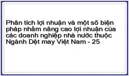 Phân tích lợi nhuận và một số biện pháp nhằm nâng cao lợi nhuận của các doanh nghiệp nhà nước thuộc Ngành Dệt may Việt Nam - 25