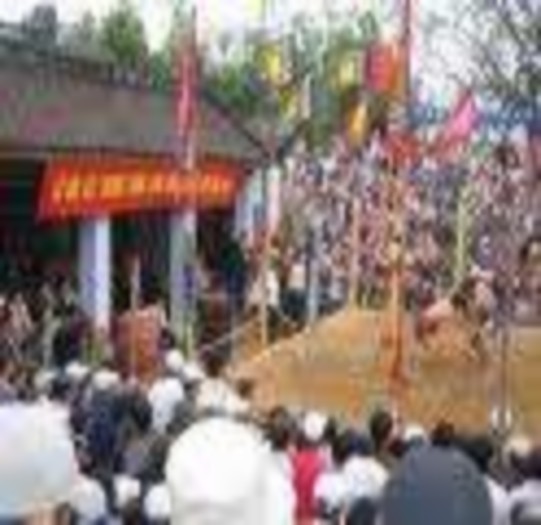 Đền Hà Đới Miếu Bến Vua Suối khoáng nóng Tiên Lãng 1