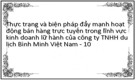 Thực trạng và biện pháp đẩy mạnh hoạt động bán hàng trực tuyến trong lĩnh vực kinh doanh lữ hành của công ty TNHH du lịch Bình Minh Việt Nam - 10