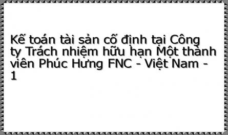 Kế toán tài sản cố định tại Công ty Trách nhiệm hữu hạn Một thành viên Phúc Hưng FNC - Việt Nam - 1
