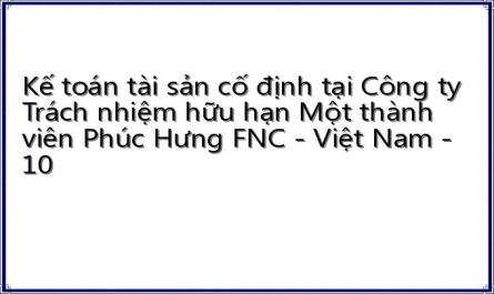 Định Hướng Phát Triển Công Ty Tnhh Mtv Phúc Hưng Fnc - Việt Nam.