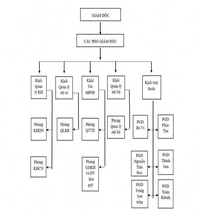 Nguồn BIDV Sơn Tây 2 1 3 Kết quả hoạt động kinh doanh chủ yếu của Ngân 1