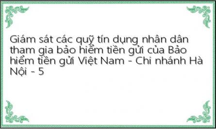 Kinh Nghiệm Về Hoạt Động Giám Sát Tại Một Số Chi Nhánh Của Bảo Hiểm Tiền Gửi Việt Nam