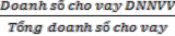 100  Dư nợ cho vay Dư nợ cho vay đối với DNNVV là số tiền mà ngân hàng 1