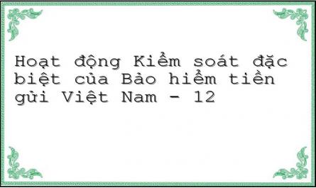 Hoạt động Kiểm soát đặc biệt của Bảo hiểm tiền gửi Việt Nam - 12