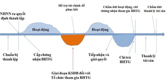 1 3 Kinh nghiệm quốc tế 1 3 1 Hướng dẫn chung của Hiệp hội Bảo hiểm 1