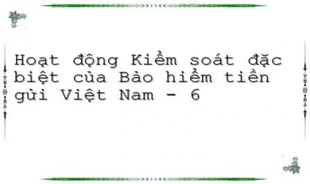Thực Trạng Hoạt Động Kiểm Soát Đặc Biệt Của Bảo Hiểm Tiền Gửi Việt Nam‌