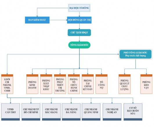 Sơ đồ 2 1 Cơ cấu tổ chức quản lý của Công ty 2