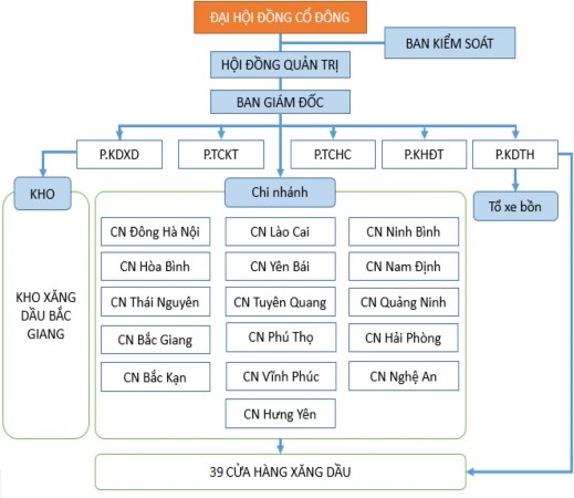 Sơ đồ 1 Sơ đồ tổ chức bộ máy quản lý tại Công ty PVOIL Hà Nội Nguồn 1