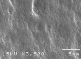 Hình 3 4 Bề mặt răng bình thường ở độ phóng đại 50 – 3500 lần Hình 3 5 8