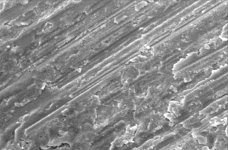 Hình 3 19 Hình ảnh trụ men sau điều trị bằng Clinpro TM XT varnish ở độ phóng 3