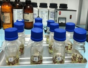 MỘT SỐ HÌNH ẢNH MINH HỌA NGHIÊN CỨU THỰC NGHIỆM Răng đã được chuẩn bị 2