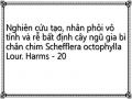 C. Wu, Y.h. Duan, W. Tang, M.m. Li, X. Wu, G.c. Wang, W.c. Ye, G.x. Zhou, New Ursane-Type Triterpenoid Saponins From The Stem Bark Of Schefflera Heptaphylla, Fitoterapia, 2014, 92, 127-132.