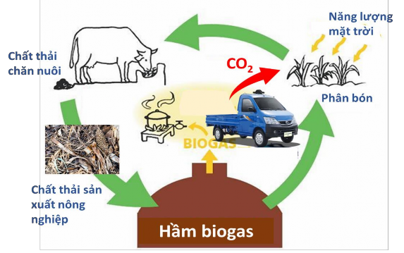Hình 1 4 Chu trình carbon khi sử dụng biogas làm nhiên liệu Hình 1 5 Động học 4