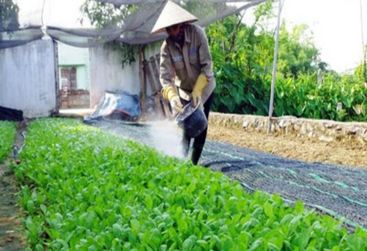 CAC MÔ HÌNH SỬ DỤNG ĐẤT Mô hình sản xuất rau an toàn Mô hình sản xuất nông 1