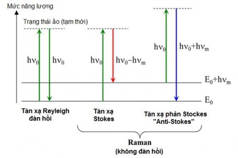 Hình 2 5 Sơ đồ biến đổi Raman Biên độ dao động được gọi là chuyển vị 1