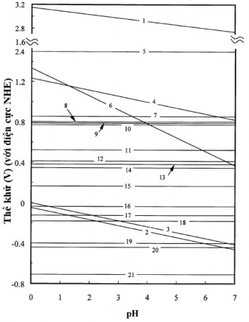 1 E VB 2 E CB 3 𝜑 𝐻 ∗ ⁄ 𝐻 2 4 𝜑 𝑂 2 ⁄ 𝐻 2 𝑂 5 𝜑 𝐴𝑢 1