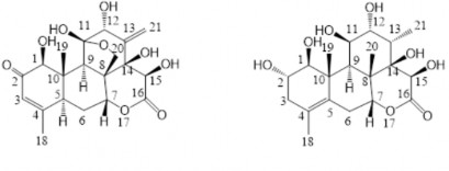 Dữ liệu phổ 1 H NMR và 13 C NMR của chất 6 và chất 7 được thể hiện ở bảng 4